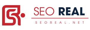 SeoReal Digital Agency